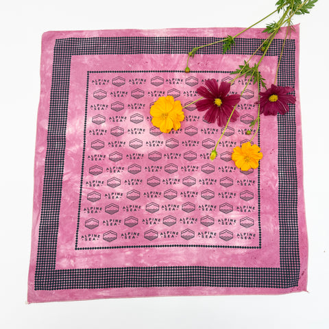 ASC x Coyote Farm Hand Dyed Bandana