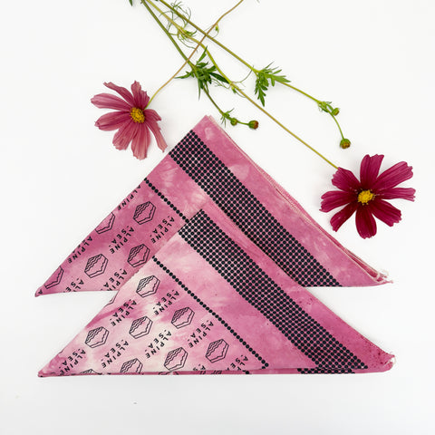 ASC x Coyote Farm Hand Dyed Bandana