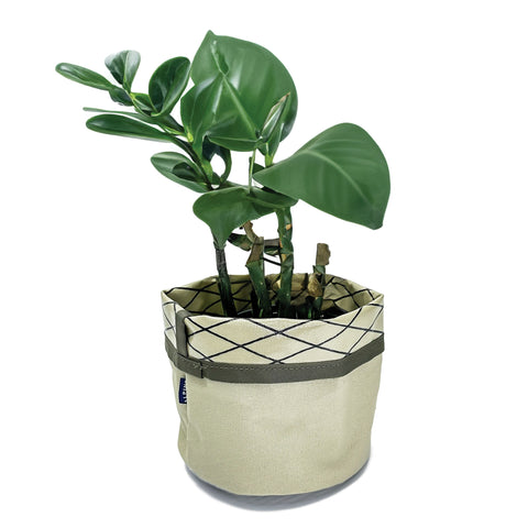 Plant Pocket