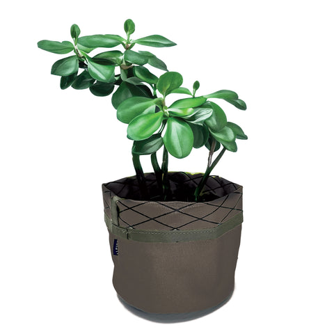 Plant Pocket